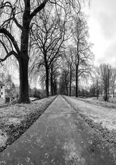 road in German park in black and white