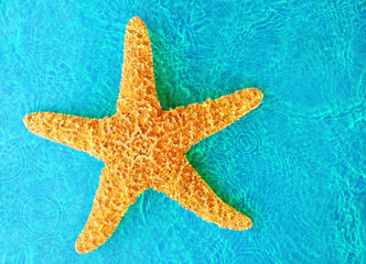 Fototapeta na wymiar Starfish on the beach, blue sea background, summer holiday concept
