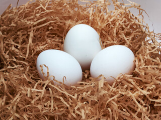 white chicken eggs in a nest of grass