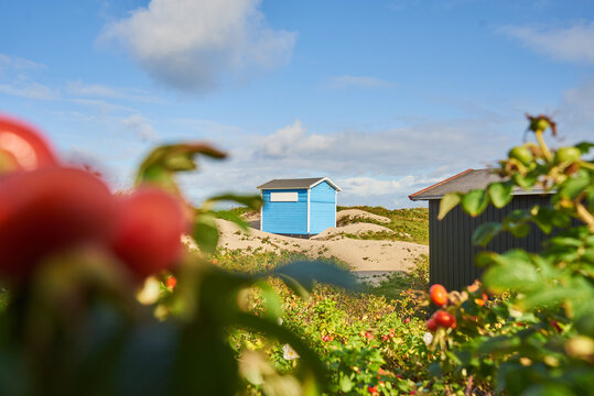 kleines Holzhaus am Strand