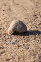 A stone. One stone on brown sand. Close-up