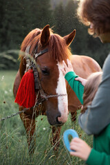 Fototapeta premium Father and son caress horse. Friendship between animal and human concept. Brown horse in a meadow of mountains. Man caress horse, child caress horse. 
