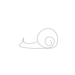 Snail animal line drawing on white background. Vector illustration