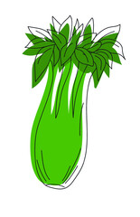 Ilustraci&oacute;n vectorial de apio - illustration of a celery - vector with outlines