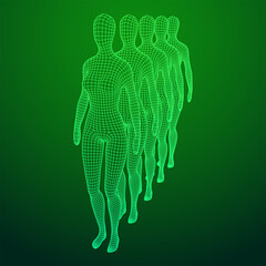 Female or woman queue. Body biology medicine education concept.