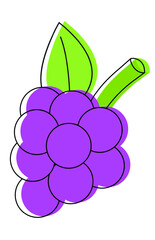 illustration of a grape fruit - vector -  vector with outlines
