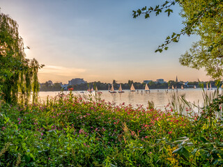 Hamburg Alster Lake life during summer time