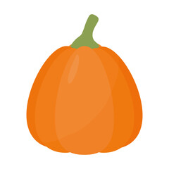 pumpkin of orange color with stalk