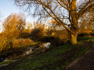 Fototapeta premium THE GREEN HOLE 5 IN THE MORNING 