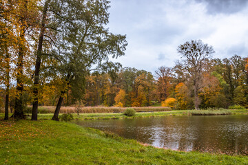 Autumn trees alley with colorful leaves in the park
