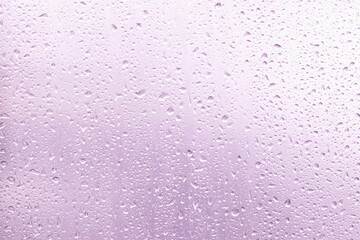 water drops on pink background