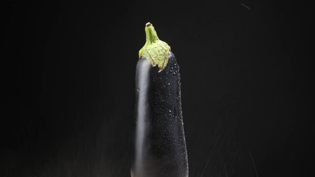 Spraying of water on fresh eggplant on dark background