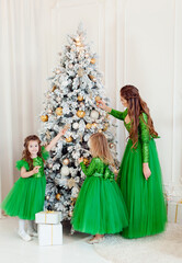 Fototapeta na wymiar girl with a christmas tree in their hands