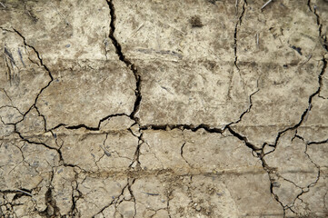 Cracked earth texture