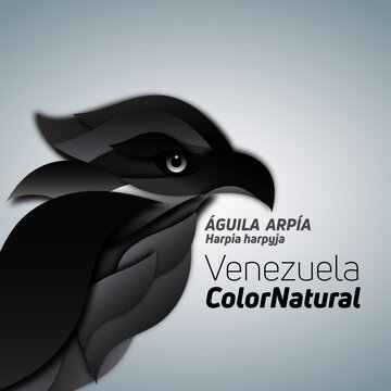 &Aacute;guila Arp&iacute;a 