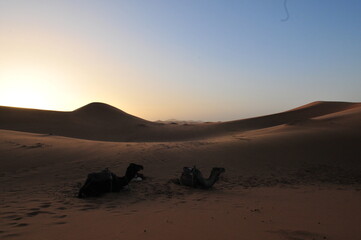 Sunrise over the Sahara desert, Merzouga, Morocco