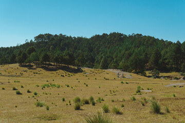 Obraz premium Vista del Parque natural 