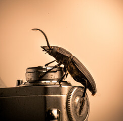 Old camera