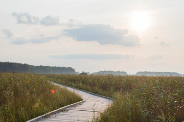 Trail in Polesie National Park, wooden footbrigde through swamps on the trail Czahary, early morning, birdwatching in Poleski Park Narodowy