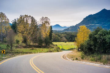road in autumn, Patagonia - Chile.