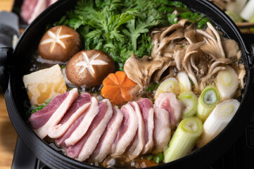 Kamo-Nabe, japanese hot pot with duck