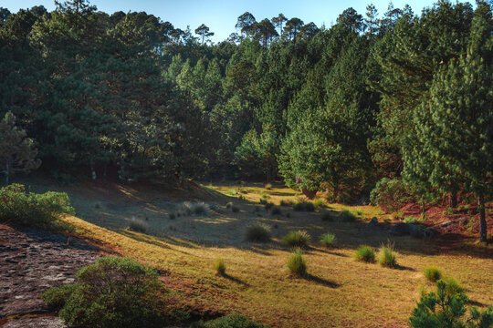 Vista del Parque natural "piedras encimadas", Puebla M&eacute;xico, Una hermosa tarde caminando por la naturaleza con vistas hermosas de un pedaso de paraiso.