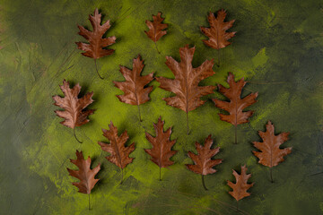 autumn dry leaves on green wooden background