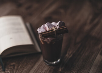 Cold winter season cup of hot chocolate and marshmallows with cinnamon sticks  and anise (anason) on wooden table with opened book