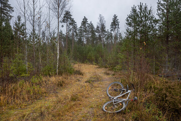 The road goes deep into the autumn forest. There is a bicycle on the side of the road.