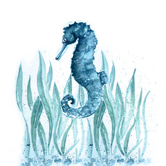 Hand drawn watercolor art of seahorse © NATALIIA TOSUN