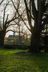 Baum im Vordergrund | Kirche im Hintergrund