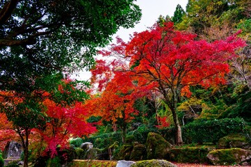渓石園の紅葉