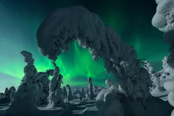 Vitrage gordijnen Noorderlicht Winternachtlandschap, natuurlijk landschap van het noordpoolgebied, populaire reisbestemming.
