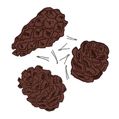 set of pine cones and needles