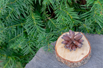 Christmas background with fir branches and cones, selective focus, copy space. Top view