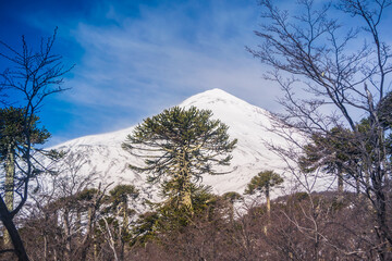 Lanin Volcan National Park, Pucon Chile.