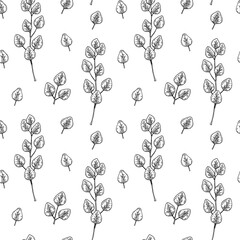 Seamless pattern with hand drawn eucalyptus branches and leaves isolated on white background. Vector illustration in vintage sketch style