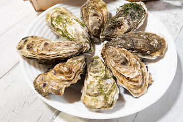 beautiful fresh hollow oysters from Brittany or Normandy in France