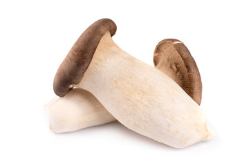 Pleurotus eryngii mushrooms on white background