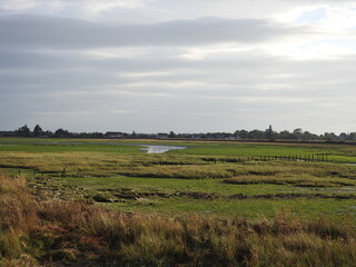 Fototapeta na wymiar Floodplain meadows close to the bay