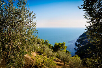 Mattinata - Magnifico e selvaggio Gargano