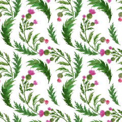 Watercolor seamless pattern with stylized twigs, flowers and leaves of the Thistle plant
