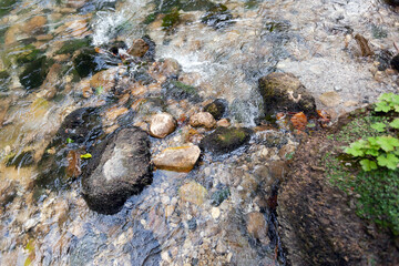 Beautiful multicolored stones covered with moss mountain river, used as a background or texture