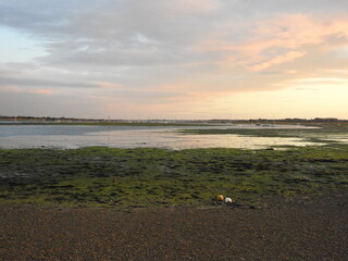 Obraz premium A vast bay during sunset
