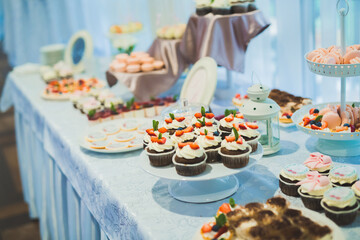 Delicious sweets on wedding candy buffet with desserts, cupcakes