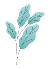 leaves of different type of green on white background