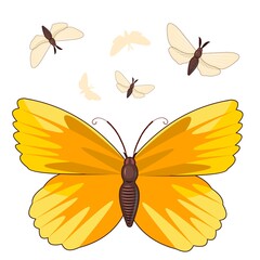 Yellow butterflies. Bright beautiful composition. Isolated object on white. Vector.