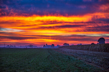 Sunrise over farm field