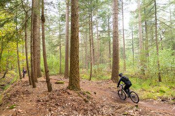 two mountianbikers cycling in the forst in november