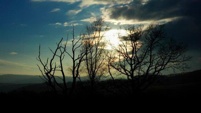 winter tree silhouettes in front of a beautiful sundown filmed in 4k
